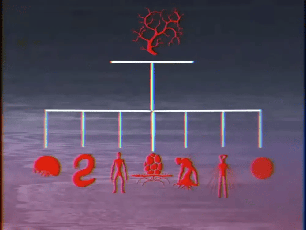 vita carnis tree